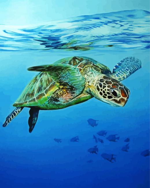 Sea Turtle Swimming In The Water paint by number