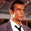 The Actor Sean Connery paint by number