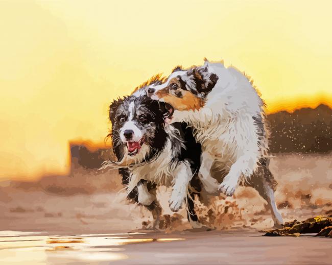 Wet Collies paint by number
