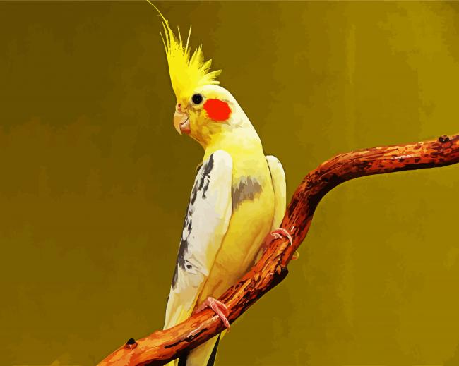 Lutino cockatiel paint by number