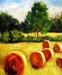 ABy Bales Art paint by number