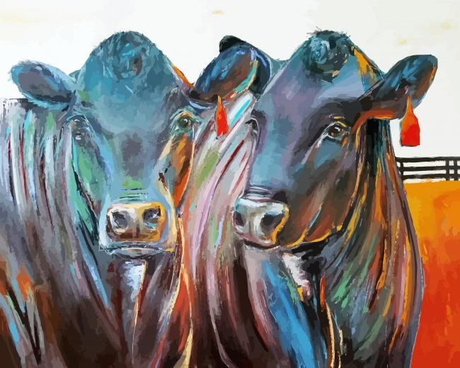 Aberdeen Angus Cows paint by number