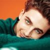 Actor Timothee Chalamet paint by numbers