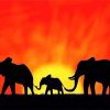 African Sunset Elephants paint by number