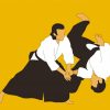 Aikido Sport Art paint by numbers