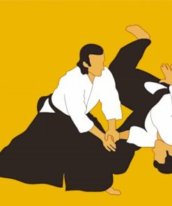 Aikido Sport Art paint by numbers