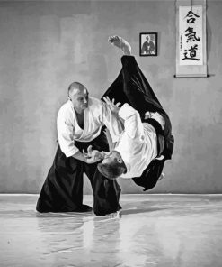 Aikido Techniques paint by numbers