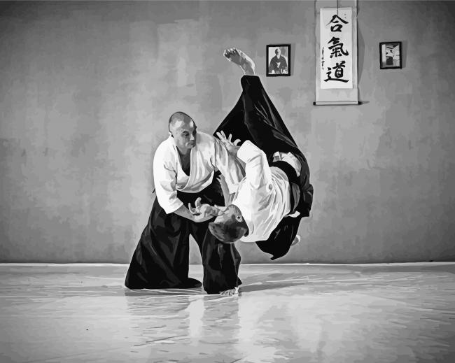 Aikido Techniques paint by numbers