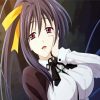 Akeno Anime Girl paint by number