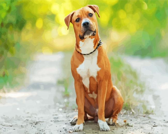 American Staffordshire Terrier paint by number