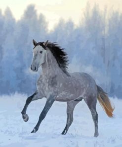 Andalusian Horse In The Snow paint by numbers