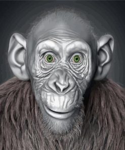 Ape With Green Eyes paint by number