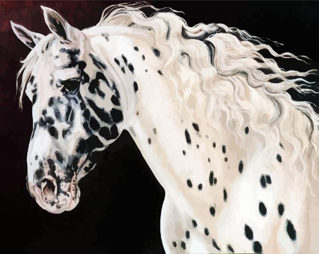 Appaloosa Horse Head paint by number
