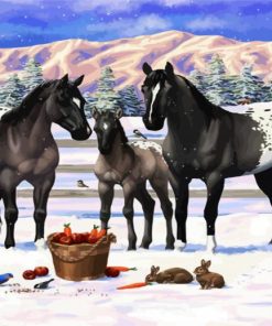 Appaloosa Horses In Snow paint by number