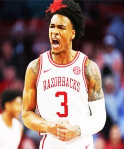 Arkansas Razorback Basketball Player paint by numbers