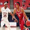 Arkansas Basketball paint by numbers
