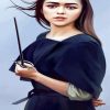 Arya Stark Game Of Thrones paint by number