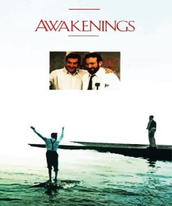 Awakening Movie Poster paint by number