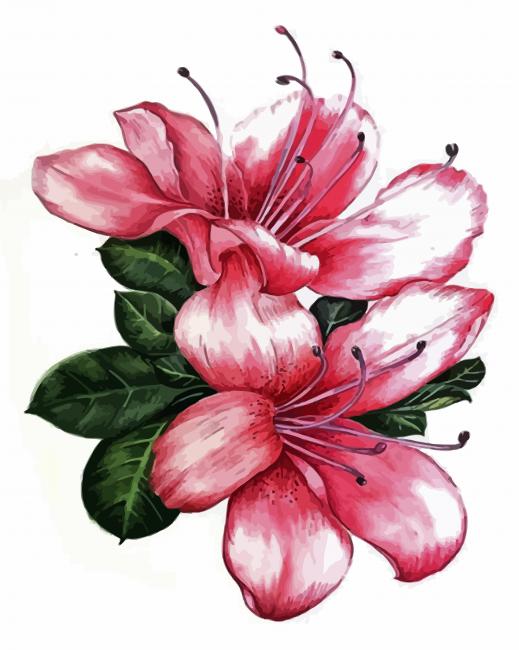 Azaleas Flowers Art paint by number