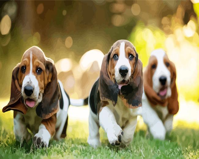 Basset Hound Puppies Dogs paint by number