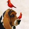 Basset Hound And Cardinals paint by number