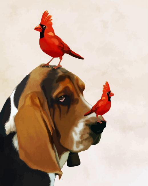 Basset Hound And Cardinals paint by number