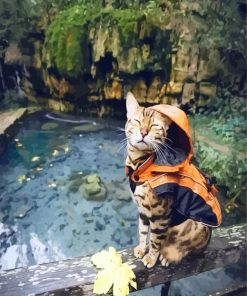 Bengal Cat With Raincoat paint by number