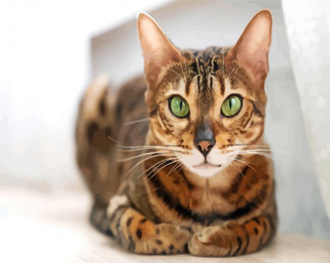Bengal Cat With Green Eyes paint by number