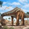 Big Diplodocus Dinosaur paint by numbers