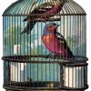 Birds In Cage paint by number