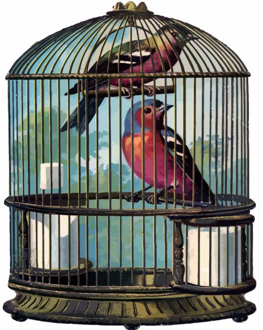 Birds In Cage paint by number