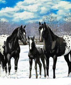 Black Appaloosa Family paint by number
