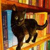 Black Cat In A Bookshelf paint by number