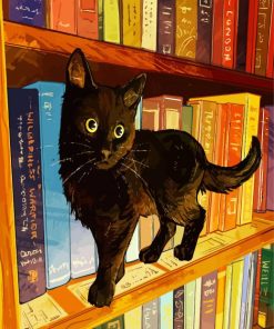 Black Cat In A Bookshelf paint by number