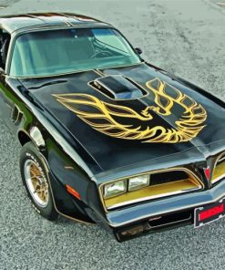 Black Classic Firebird Car paint by number