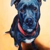 Black Staffordshire Bull Terrier paint by number