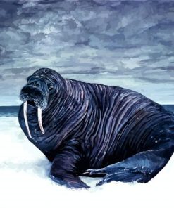 Black Walrus paint by number