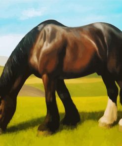 Black White Shire Horse paint by number