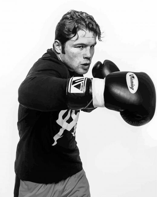 Black And White Canelo paint by numbers