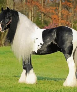 Black And White Clydesdale Horse paint by numbers