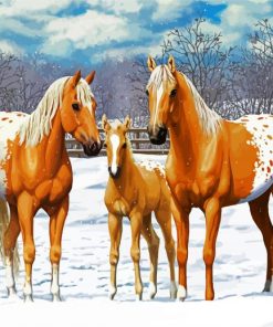 Blonde Appaloosa Horses paint by number