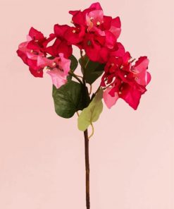 Blooming Pink Bougainvillea paint by number