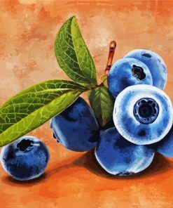 Bluberry Fruit paint by number