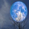 Blue Full Moon paint by numbers