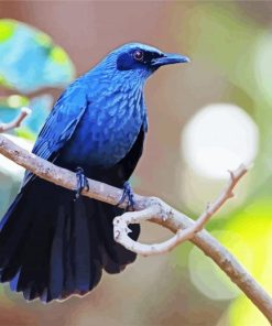 Blue Mockingbird paint by number