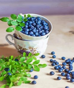 Bluberry Cup paint by number