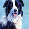 Border Collie Dogs Art paint by number