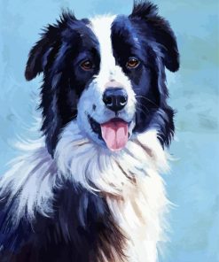 Border Collie Dogs Art paint by number
