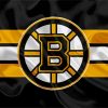 Boston Bruins Hockey Logo paint by numbers