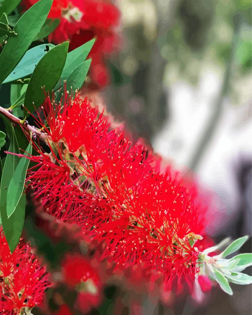 Bottlebrush Plants paint by numbers